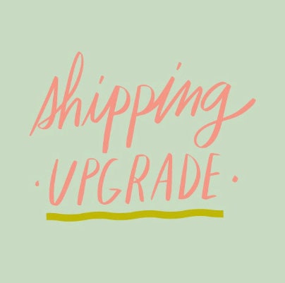 Priority Shipping Upgrade